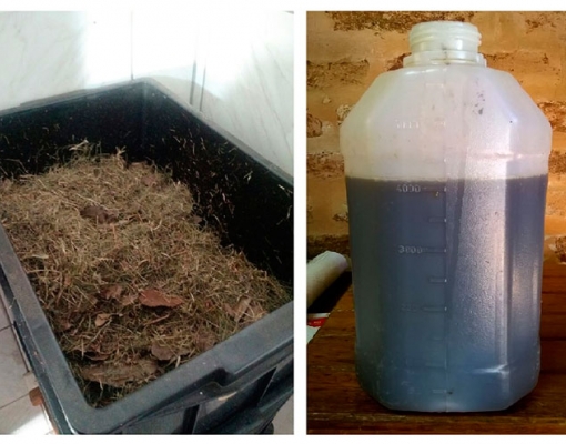 À esquerda, imagem mostra composteira em uso e, à direita, adubo extraído da decomposição dos resíduos orgânicos