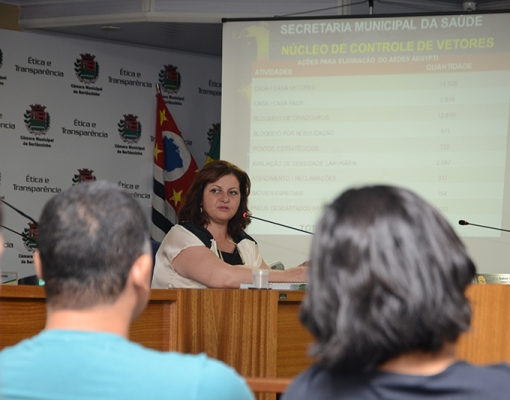 A secretária municipal de Saúde, Rita Montenegro, durante Audiência Pública de Prestação de Contas, realizada no último dia 30. Foto: Adilson Lopez