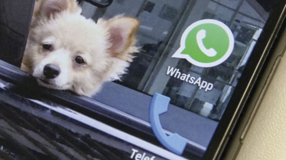 TECNOLOGIA - Por que o WhatsApp quer dar o seu telefone para o Facebook – e o que fazer para evitar