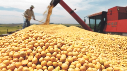 MERCADO – Valor da produção agropecuária é de R$ 565,6 bilhões