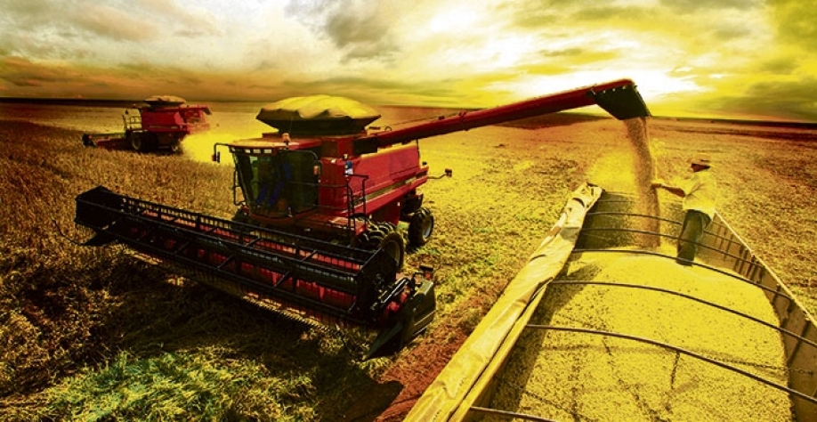 Aumento da produção de etanol de milho deve baratear combustíveis, concluem senadores