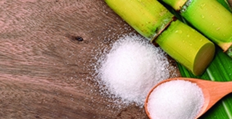 Avanços na produção de cana-de-açúcar faz do Brasil líder no setor