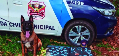 K9 Kyra e K9 Seta: cães ajudam no combate ao tráfico de drogas em Sertãozinho
