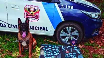 K9 Kyra e K9 Seta: cães ajudam no combate ao tráfico de drogas em Sertãozinho