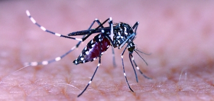 Sertãozinho tem mais de 3.300 casos de dengue confirmados e um óbito em 2022