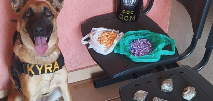  Guarda Civil de Sertãozinho apreende drogas