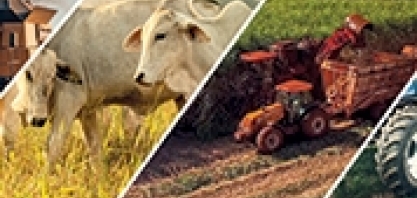 Agrishow 2023 mostrará a força e a inovação do agronegócio brasileiro 