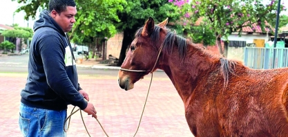 Meio ambiente realiza microchipagem de cavalos na Vila Áurea