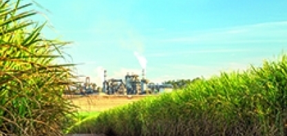 Agro - Um pouquinho de história!