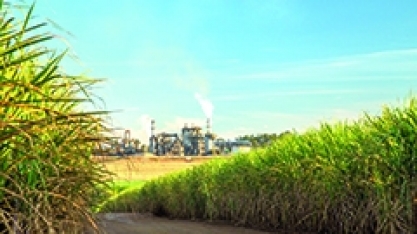 Agro - Um pouquinho de história!
