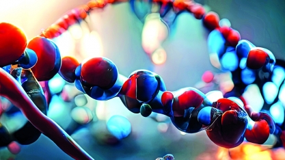 Indicações de uso de testosterona para mulheres  