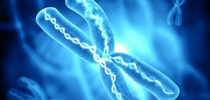 O hormônio do crescimento ou GH (Growth Hormone)  