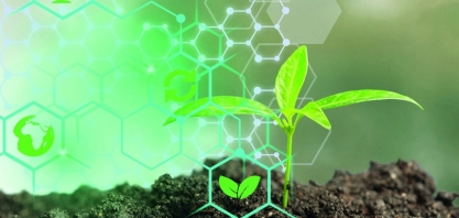 Projeto da primeira biorrefinaria de agave da Shell impulsionará produção de biocombustíveis no sertão 