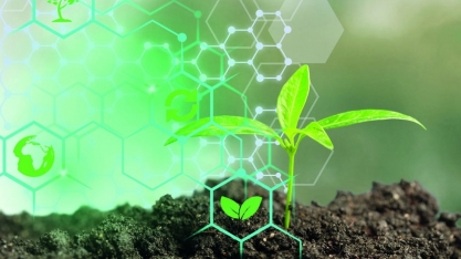 Projeto da primeira biorrefinaria de agave da Shell impulsionará produção de biocombustíveis no sertão 