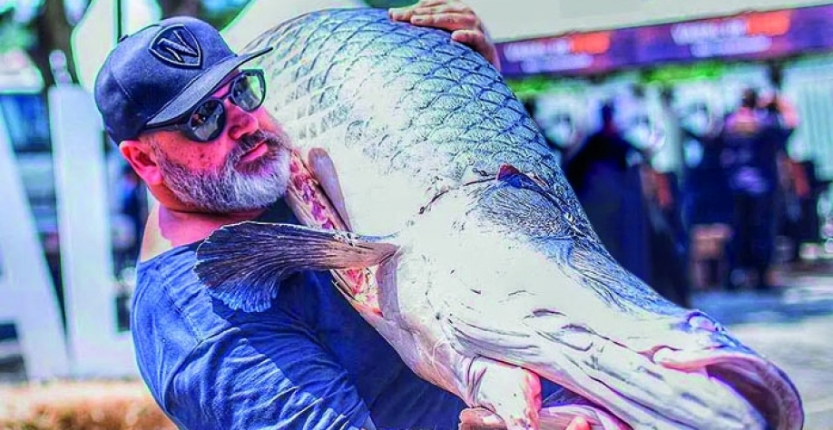 Pirarucu, jacaré e muito mais: Praça de carnes exóticas é curiosidade em festival de churrasco em Ribeirão Preto