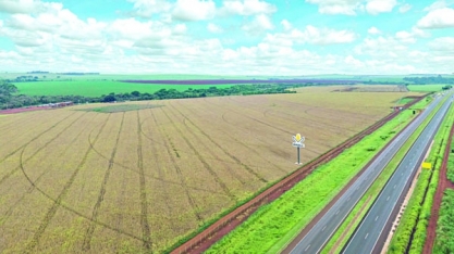 Empresa mantém centro de pesquisas para melhoramento genético de milho 