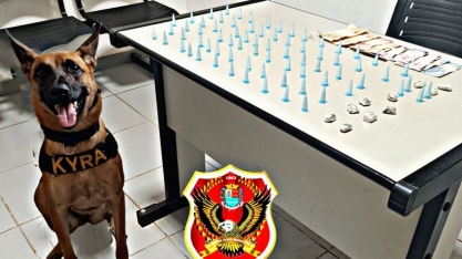 Guarda Civil de Sertãozinho apreende drogas 