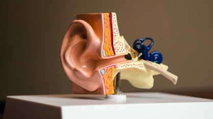 Auriculoterapia pode tratar e até diagnosticar doenças