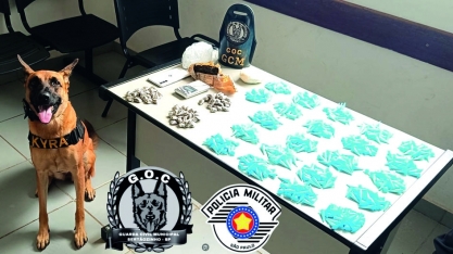 Polícia Civil de Sertãozinho prende indivíduo em flagrante com grande quantidade de entorpecentes