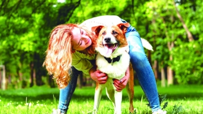 Abril laranja: mês da prevenção à crueldade contra animais
