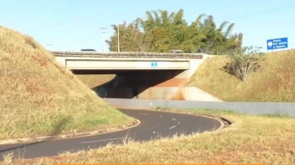 Homem morre em queda acidental na Rodovia Sertãozinho-Ribeirão Preto