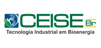 CEISE Br se firma na defesa do setor sucroenergético com nomeação da presidente, Rosana Amadeu, como membro do Conselho