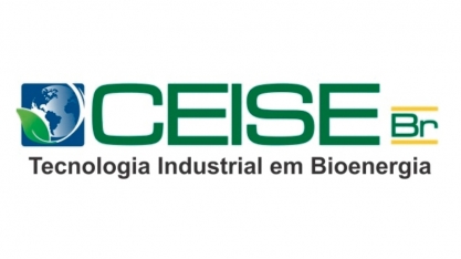 CEISE Br se firma na defesa do setor sucroenergético com nomeação da presidente, Rosana Amadeu, como membro do Conselho