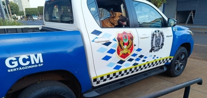 GCM de Sertãozinho apreende drogas