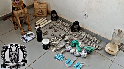 GCM de Sertãozinho apreende drogas 