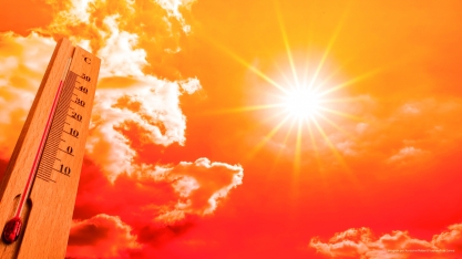 Ondas de calor extremo geram reflexos no agronegócio