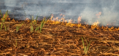 Tarcísio calcula prejuízo de R$ 1 bi para o Agro em SP