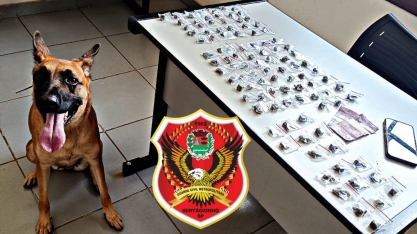 GCM de Sertãozinho apreende drogas