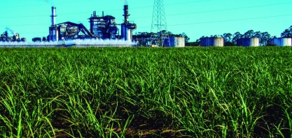 Lei sancionada no último dia de 2024 garante aos produtores de cana pagamento de créditos de carbono
