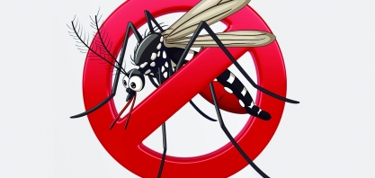 Saúde: casos de dengue crescem nos hospitais privados