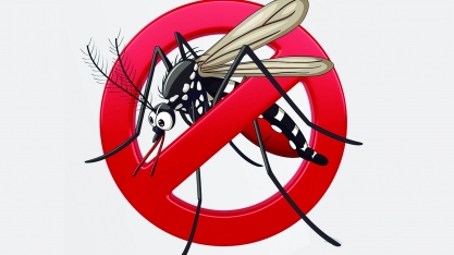 Saúde: casos de dengue crescem nos hospitais privados