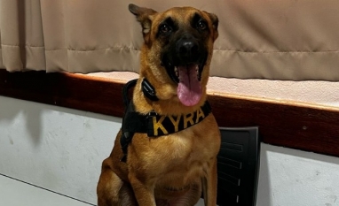 Cão K9 Kyra: terror dos traficantes