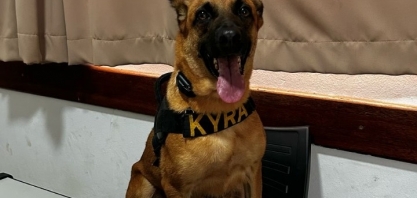 Cão K9 Kyra: terror dos traficantes