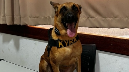Cão K9 Kyra: terror dos traficantes