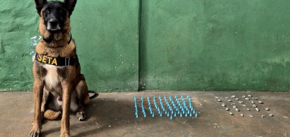 Operação com cães faz duas apreensões de drogas em sertãozinho 