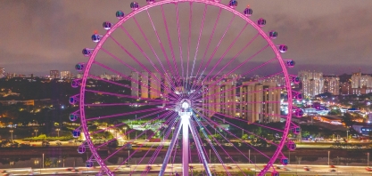 Chá de revelação de gênero no Roda Rico transforma descoberta em show de luzes