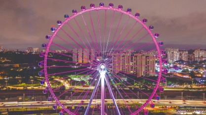 Chá de revelação de gênero no Roda Rico transforma descoberta em show de luzes