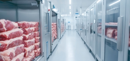 EUA e México importam maiores volumes mensais de carne bovina brasileira da história em abr/25, reforçando posicionamento estratégico do Brasil