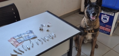 GCM de Sertãozinho apreende drogas