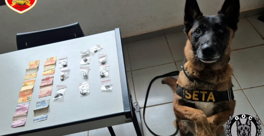 GCM faz apreensões de drogas em Sertãozinho