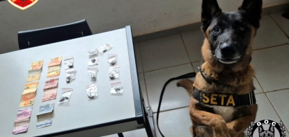 GCM faz apreensões de drogas em Sertãozinho