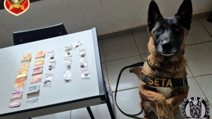 GCM faz apreensões de drogas em Sertãozinho