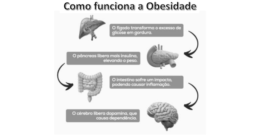Saiba, como o Dr. João Ferrari, como é o funcionamento do organismo na obesidade