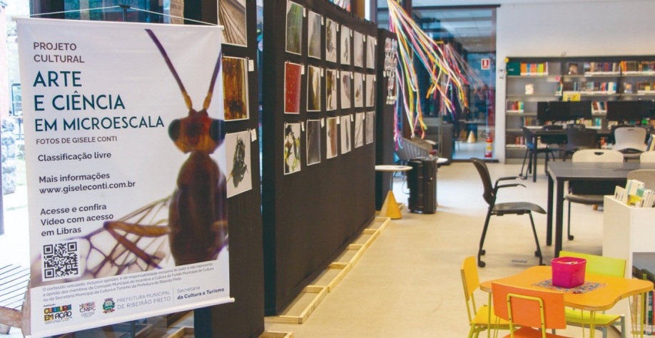 Exposição de imagens microscópicas ampliadas atrai adultos e crianças