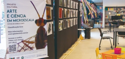 Exposição de imagens microscópicas ampliadas atrai adultos e crianças