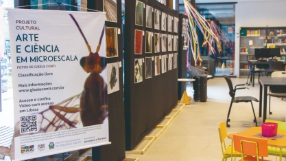 Exposição de imagens microscópicas ampliadas atrai adultos e crianças